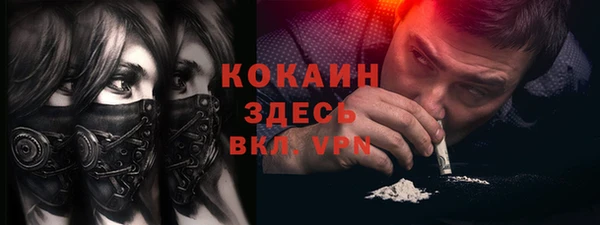 хмурый Арсеньев