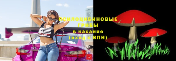 круглые Аркадак